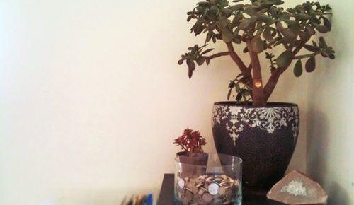 Money Corner Feng Shui