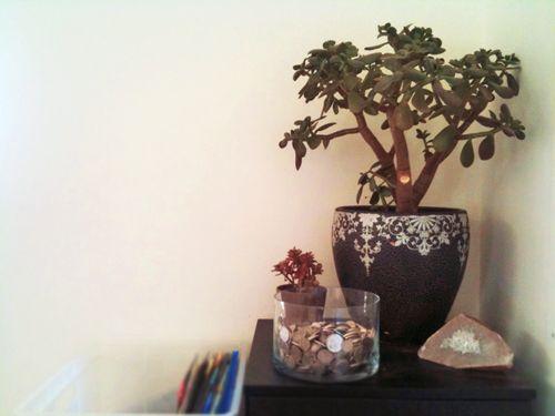 Money Corner Feng Shui