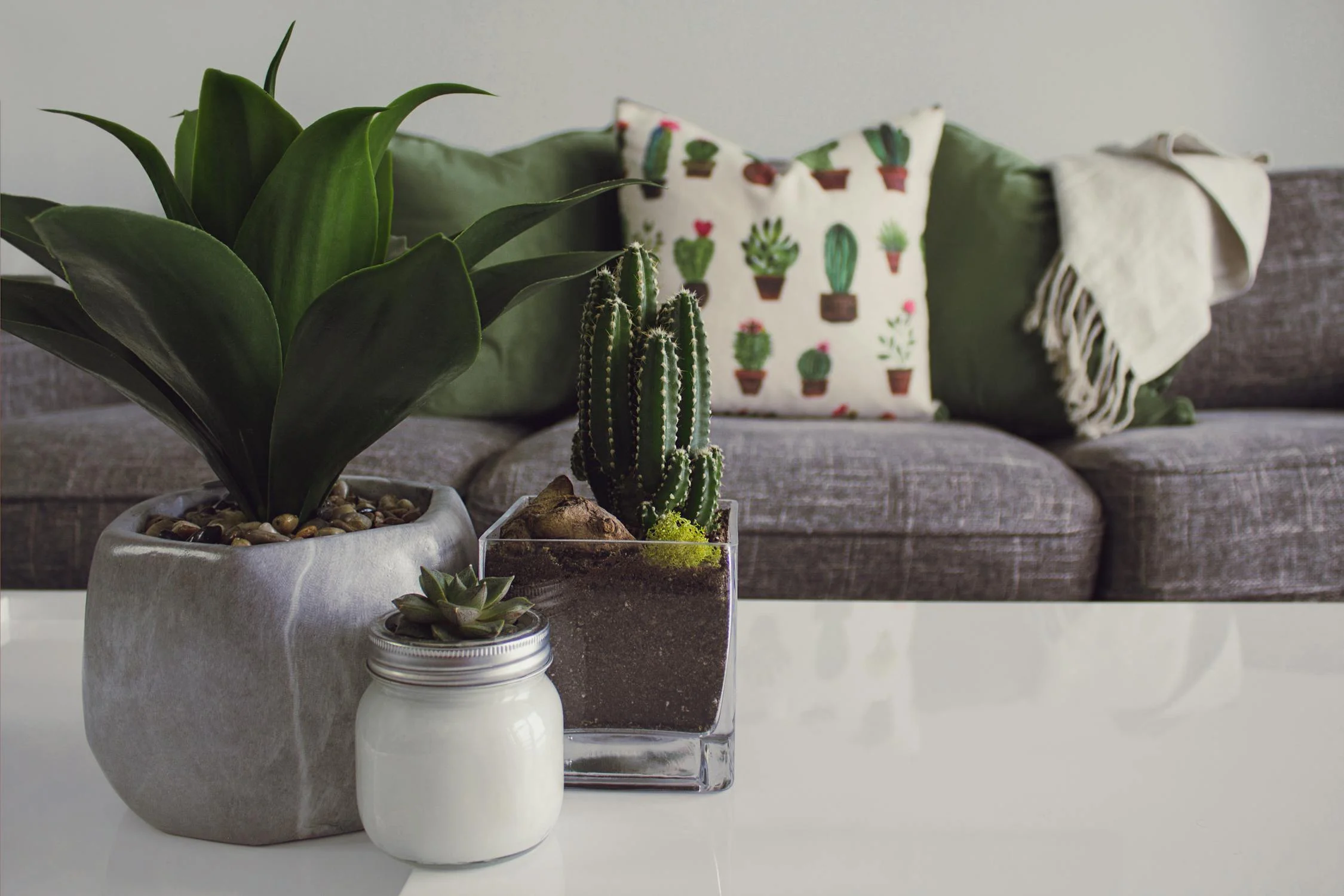 Positive Energy Home
