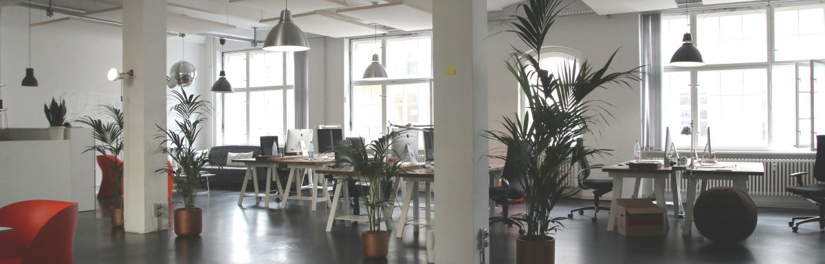 Feng Shui Office Color Abundance