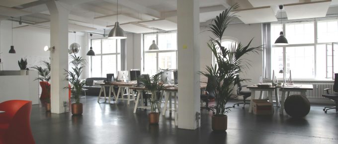 Feng Shui Office Color Abundance